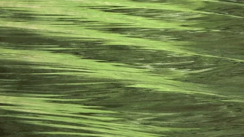 Waves at the water surface from passenger ship Stock Footage 111817472