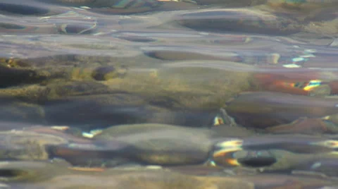 The waves on the water surface. Slow Motion  Stock Footage 53375313