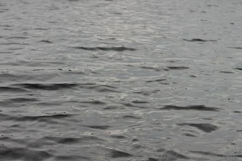 Waves on the water surface. small waves on a cloudy day Stock Photos