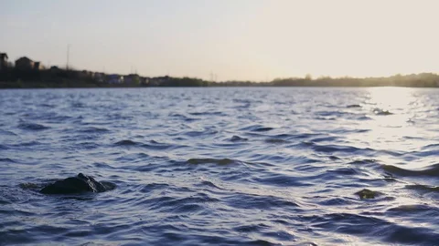 Waves of water wash a stone by the river at sunset close-up Stock Footage 129184872