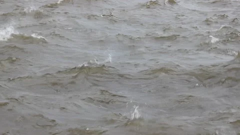 Waves on the water on a windy day. Stock Footage 170858222