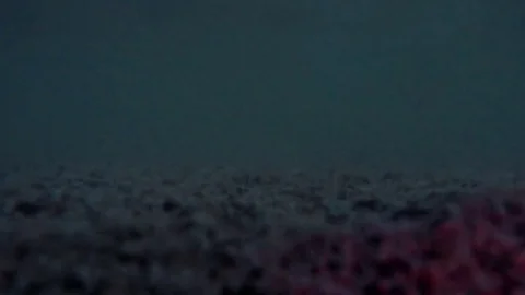 Waves on the water'edge during the sunset Stockbeeldmateriaal 79734366