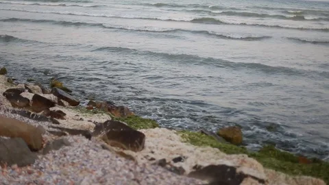 Waves on a wild beach Stock Footage 113965812