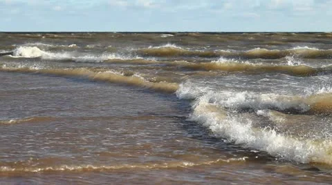 Waves in wind. Stock Footage 12495627