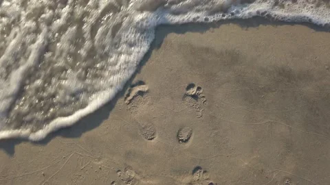 Waves wipe away footprint on the sand Stock Footage