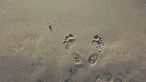 Waves wipe away footprints on the sand Stock Footage 137422916