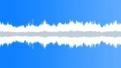 WavesClose30SecLOOP Sound Effect