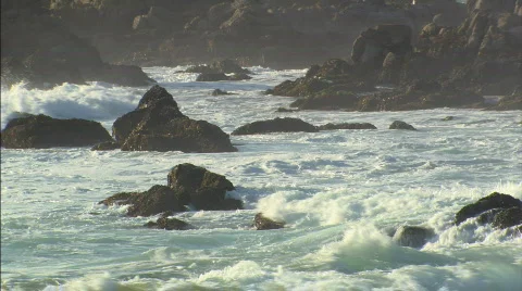 WavesCrashingOnSeal LS Stock Footage 400861