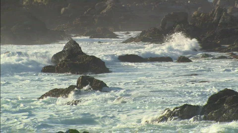 WavesCrashingSealLeaps Stock Footage 400866