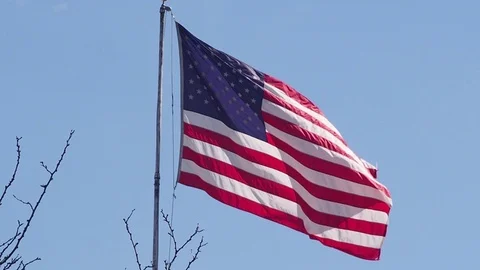 Waving American Flag 動画素材 105173194