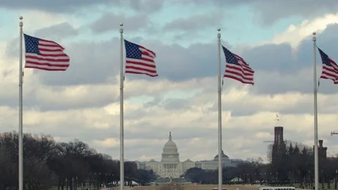 Waving American Flags With Capitol On Background. 4K. Stock Footage 150605331
