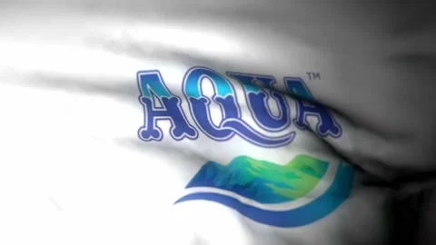 Waving AQUA flag for background video Video stock 225209672