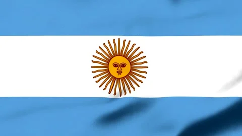 Waving Argentina flag with sun emblem in the center Video stock 343573945