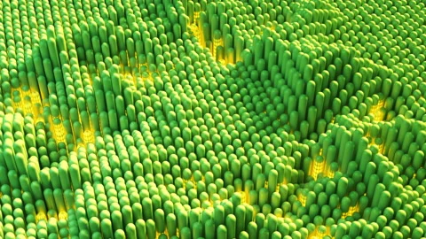Waving array of green capsules seamless loop 3D render animation Stock Footage 121185643