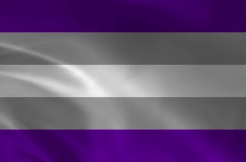 Waving Asexual Pride Flag Looping animated video of the LGBTQ+ Asexual flag.. Stock Footage 323450789