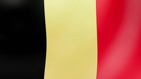 Waving Belgian Flag Stock Footage 292527832