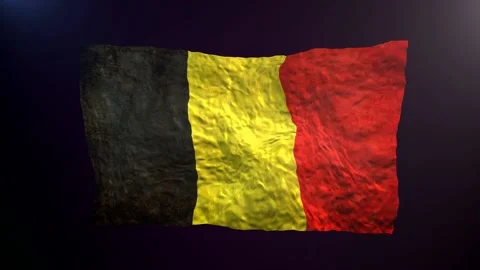 Waving Belgium  flag on dark background. Video stock 181123401