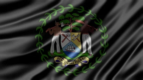 Waving Belize flag motion animation featuring the national emblem Stock Footage 343563640
