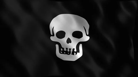 Waving black flag featuring a central silver human skull. 4K Vídeos de archivo 344047157