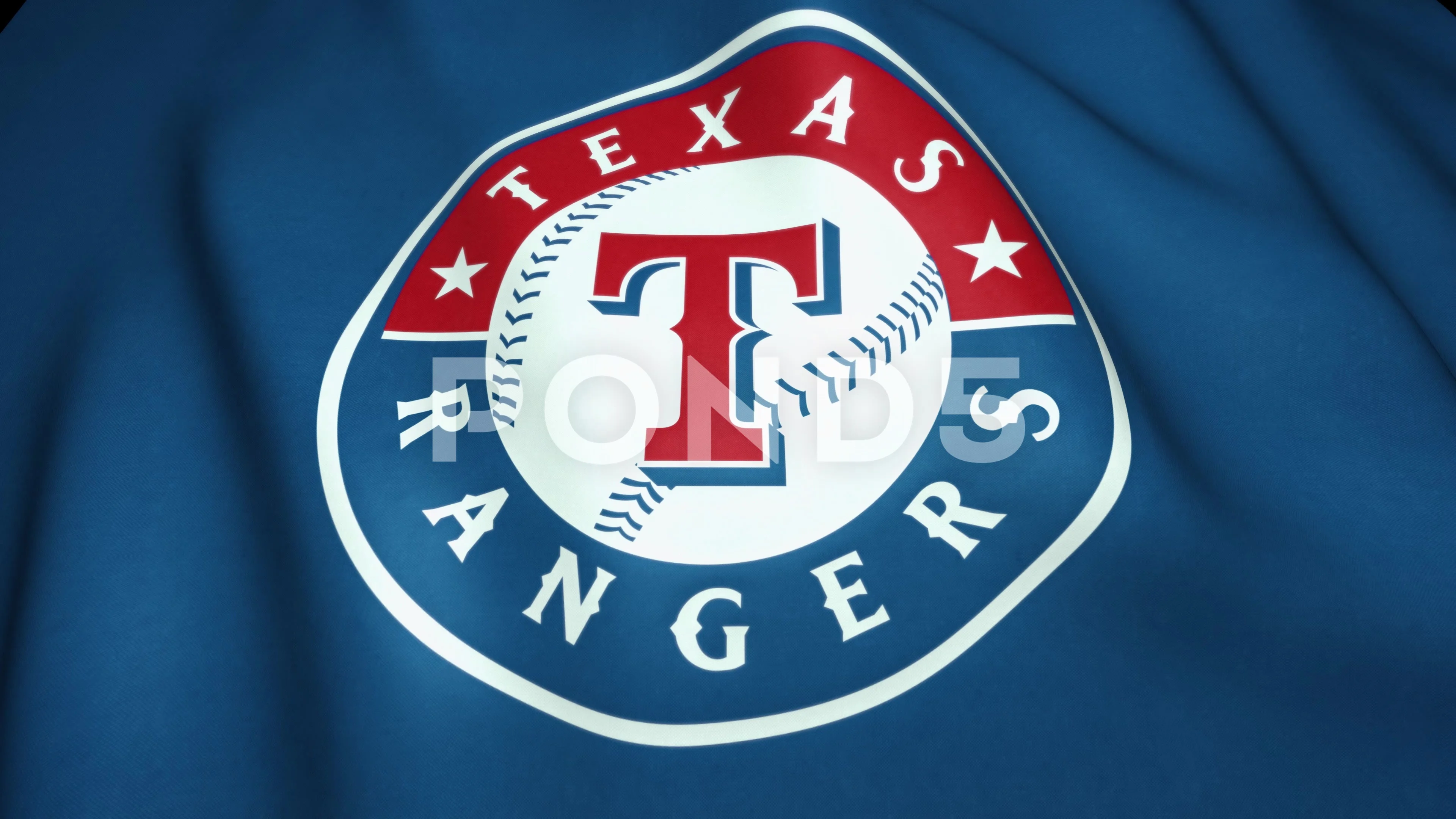  MLB - Texas Rangers State Flag Aluminum Emblem : Sports &  Outdoors