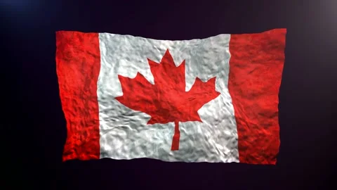 Waving Canada  flag on dark background. Stock Footage 179956408