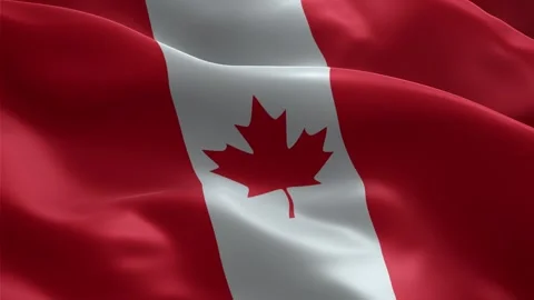 Waving Canadian Flag Animation Loop – Red Maple Leaf National Symbol of Canada Stock Footage 309367908