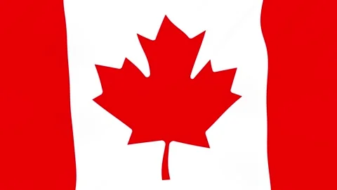 Waving canadian flag background featuring multiple red maple leaf symbols Vídeos de archivo 338118037