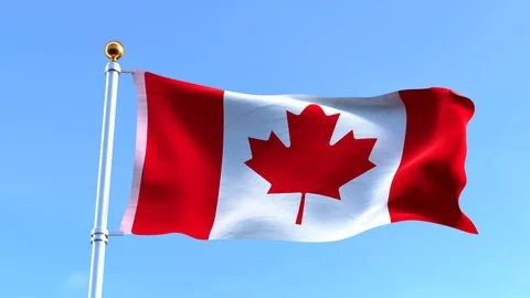 Waving Canadian Flag 스톡 동영상 91695662