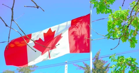 Waving Canadian flag with maple leaf under bright blue sky 스톡 동영상 333956607