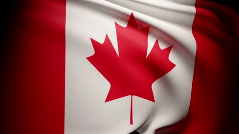 Waving Canadian mapple leaf flag. High contrast dark look. Slow motion. Stock Footage 244952945