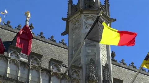 Waving Dutch flag. 스톡 동영상 145287025