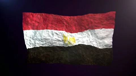 Waving Egypt  flag on dark background. Stock-Footage 180514333