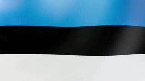 Waving Estonian Flag Stock Footage 292528006