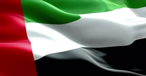 Waving fabric texture of the flag with color of united arab emirates Stock Footage 66418292
