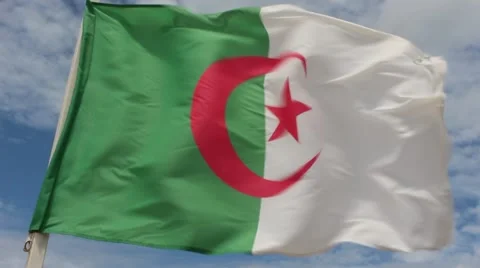 Waving flag of Algeria Stock Footage 51768455