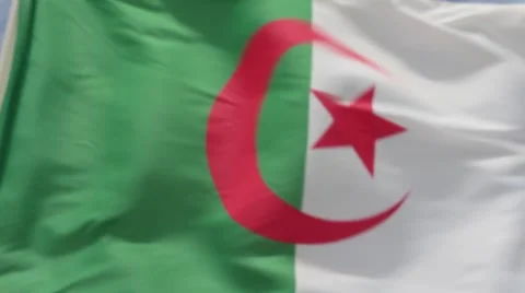 Waving flag of Algeria Stock Footage 51768536