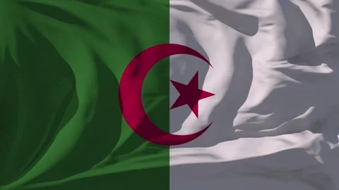 Waving Flag of The Algeria Stock Footage 295717632