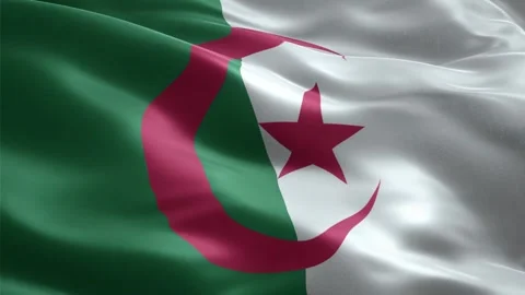 Waving Flag of Algeria Seamless Loop, Close-up, 1080p HD Stock Footage 321369676