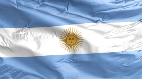 Waving flag of Argentina Republic. Loop Stock Footage 232723987