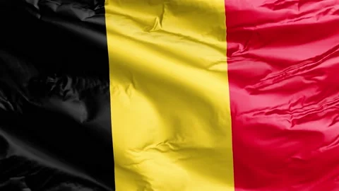 Waving flag of Belgium Kingdom. Loop Stock Footage 232724054