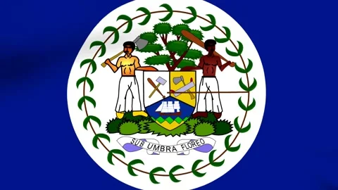 Waving flag of Belize featuring the official national coat of arms against .. Stock Footage 346545897
