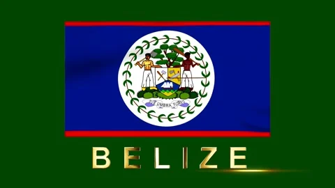 Waving flag of Belize with gold text on a green background Stock Footage 346542820