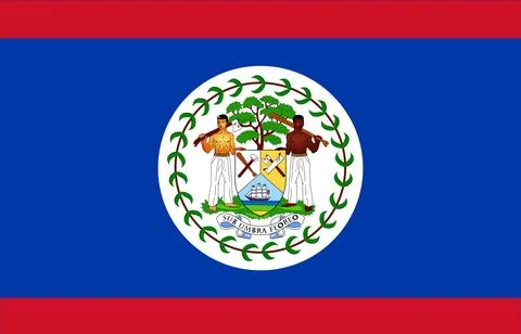 Waving Flag of Belize Stock Illustration