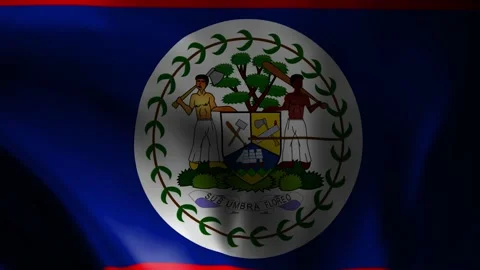 Waving a flag of Belize, national flag. Belizeans official flag flying Video stock 237436694