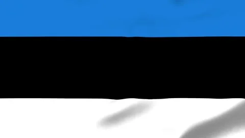 Waving flag with blue black and white horizontal stripes Stock Footage 343574130