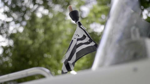 Waving flag on a boat Stock Footage 237644327