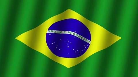 Waving flag of Brazil . Stock Footage 114003976