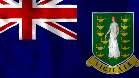 Waving flag of the British Virgin Islands with detailed fabric texture and .. Video stock 343583559