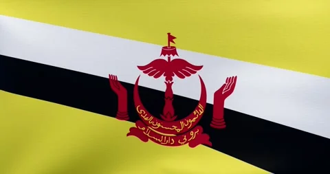 Waving flag of Brunei	 Stock Footage 318976631