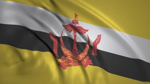 Waving Flag of Brunei in the Wind Stock Footage 97647053